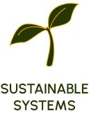 Large icon of a sprouting plant representing "sustainable systems"